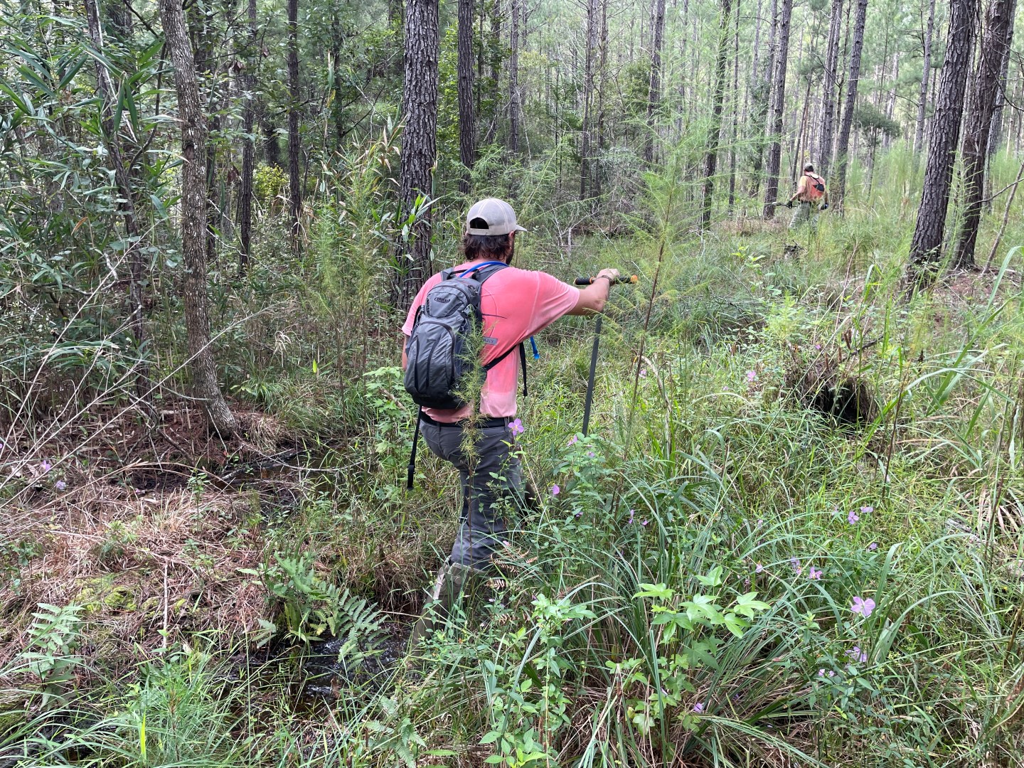 Photo: Two men in safety-orange shirts and grey baseball caps walking through deep grasses in the woods away from the camera. The man in the foreground is wearing a grey backpack and holding a surveying tool.