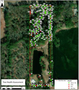 Photo: Survey of a tree health assessment showing a birds-eye view of a forested area with a red box indicating the survey boundary and green and red markings inside indicating tree health.